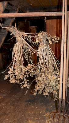 Garben 